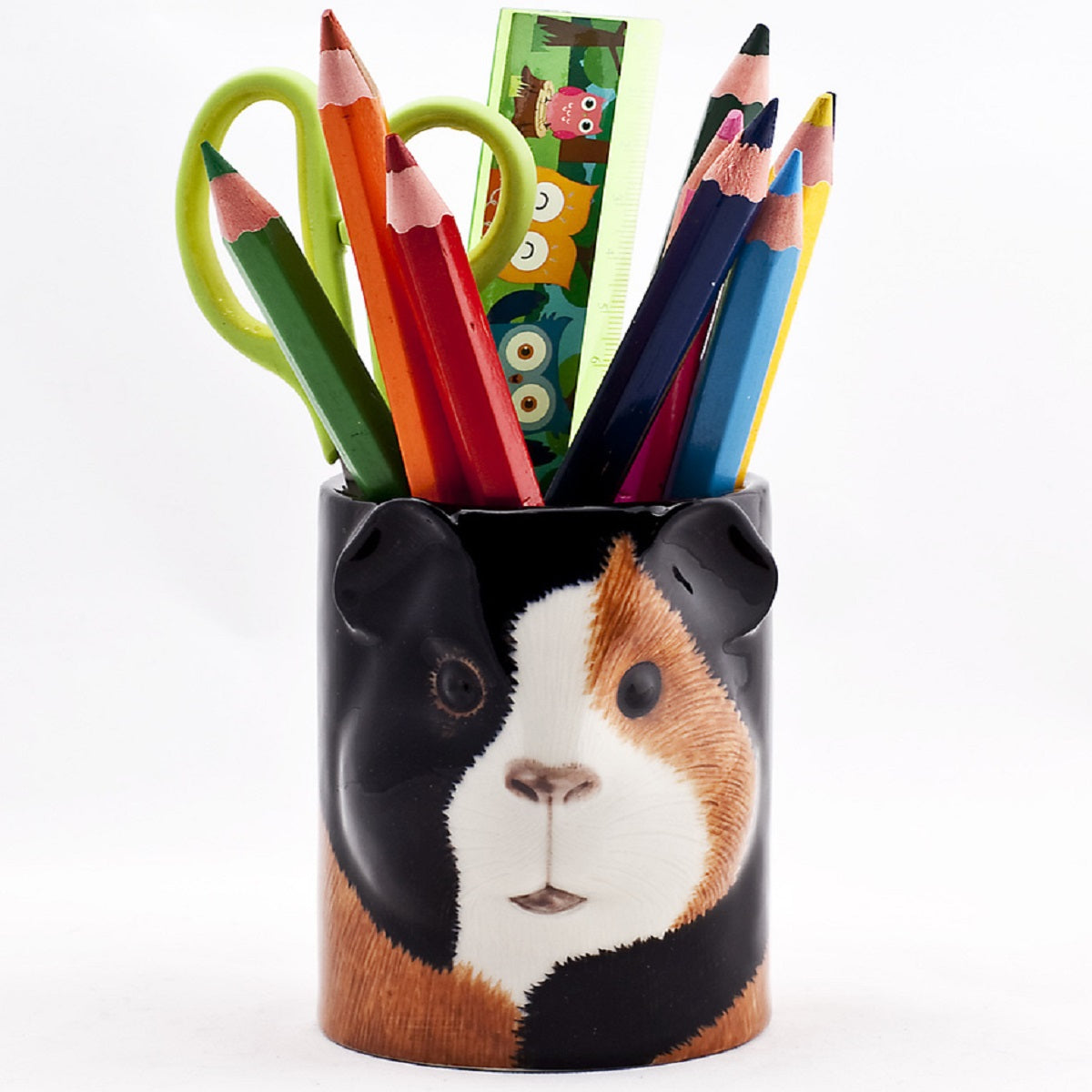 Pens for best sale guinea pigs