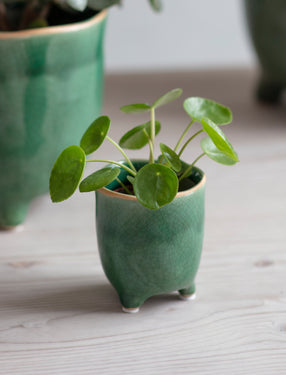 Positano Forest Green Plant Pot Small