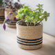 Striped Jute Plant Pot Small