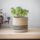 Striped Jute Plant Pot Small