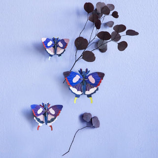 Swallowtail Butterflies Wall Decorations Set of Three