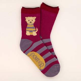 Woolie Westie Ankle Socks Damson