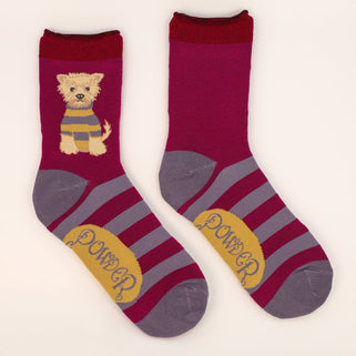 Woolie Westie Ankle Socks Damson