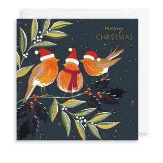 Festive Robins Luxury Christmas Card Box