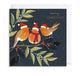 Festive Robins Luxury Christmas Card Box